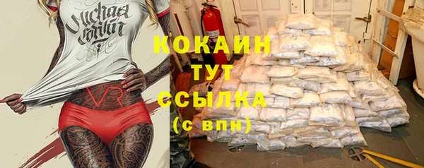 тгк Михайловск