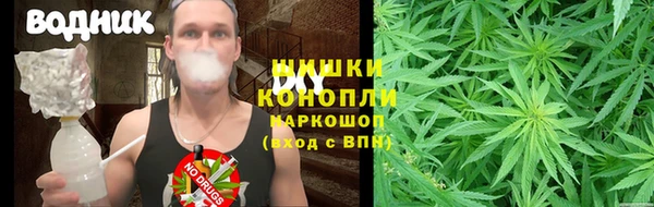 сатива Михайлов