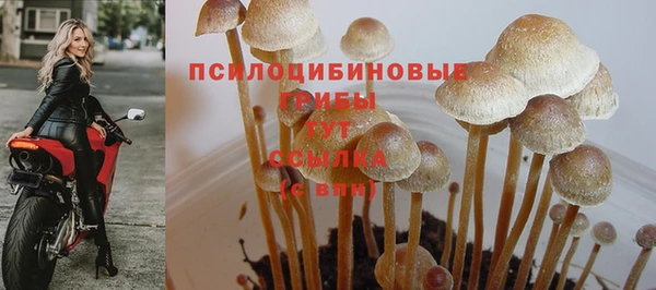 тгк Михайловск