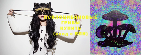 тгк Михайловск